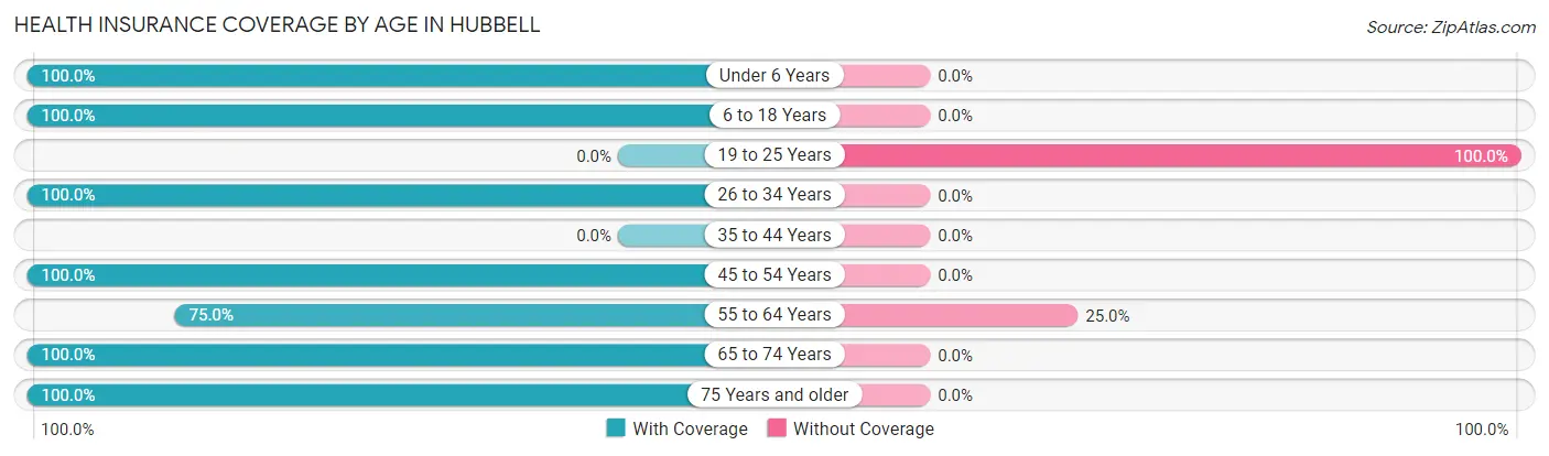 Health Insurance Coverage by Age in Hubbell