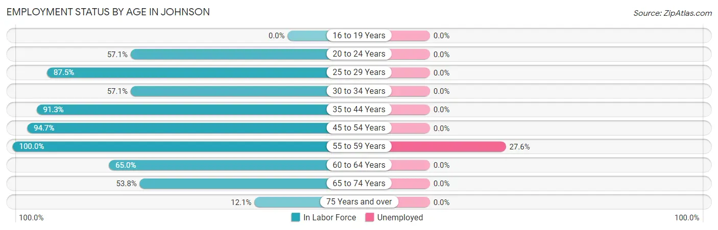 Employment Status by Age in Johnson