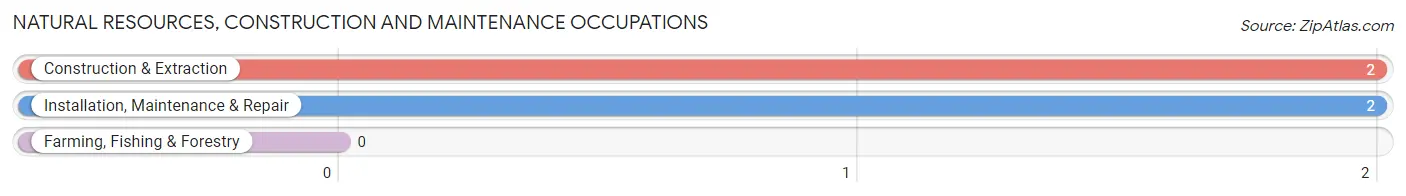 Natural Resources, Construction and Maintenance Occupations in Johnson