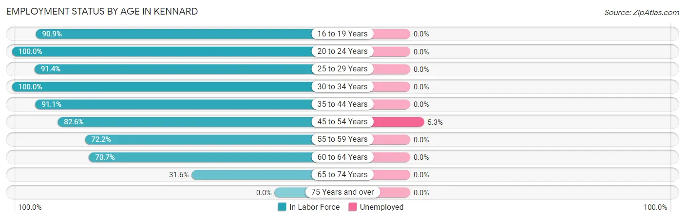 Employment Status by Age in Kennard
