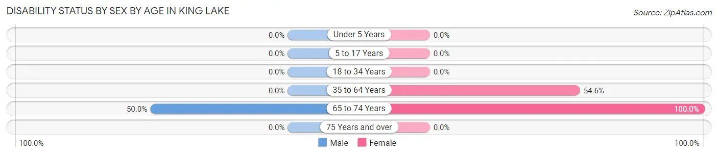 Disability Status by Sex by Age in King Lake