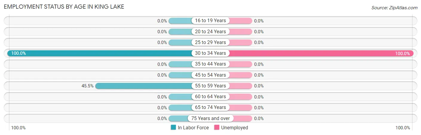 Employment Status by Age in King Lake