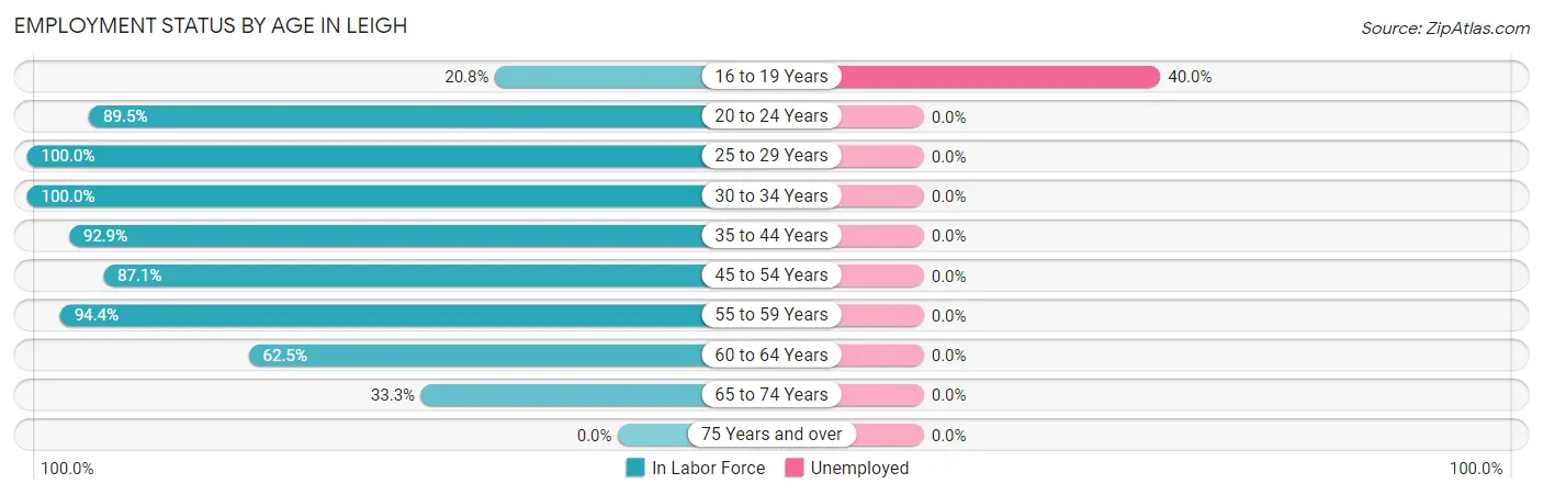 Employment Status by Age in Leigh