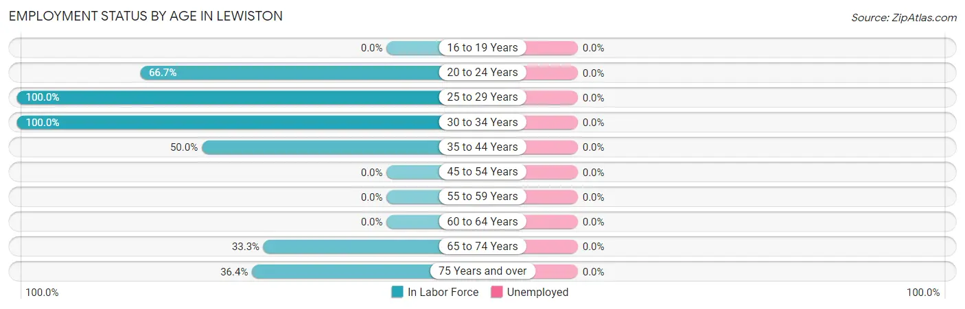 Employment Status by Age in Lewiston