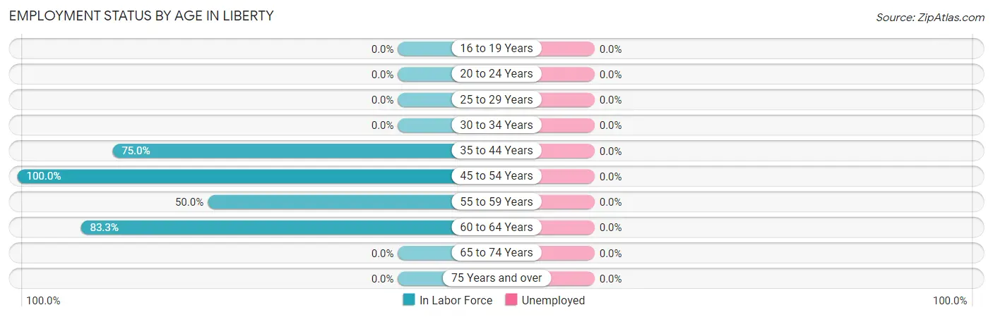 Employment Status by Age in Liberty