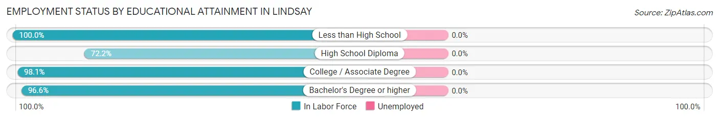 Employment Status by Educational Attainment in Lindsay