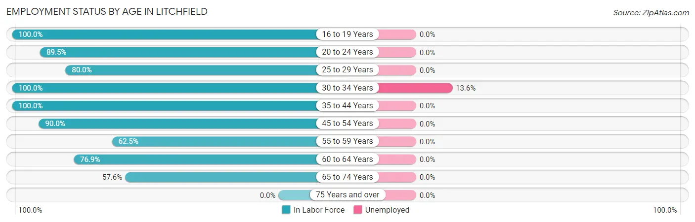 Employment Status by Age in Litchfield