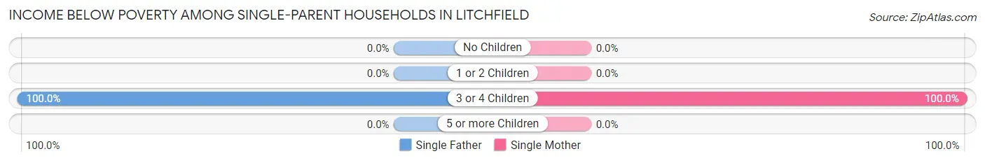 Income Below Poverty Among Single-Parent Households in Litchfield