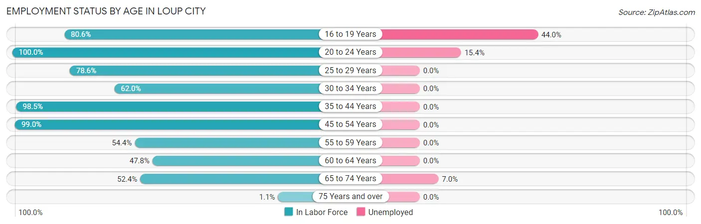 Employment Status by Age in Loup City