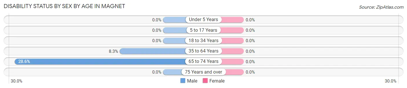 Disability Status by Sex by Age in Magnet
