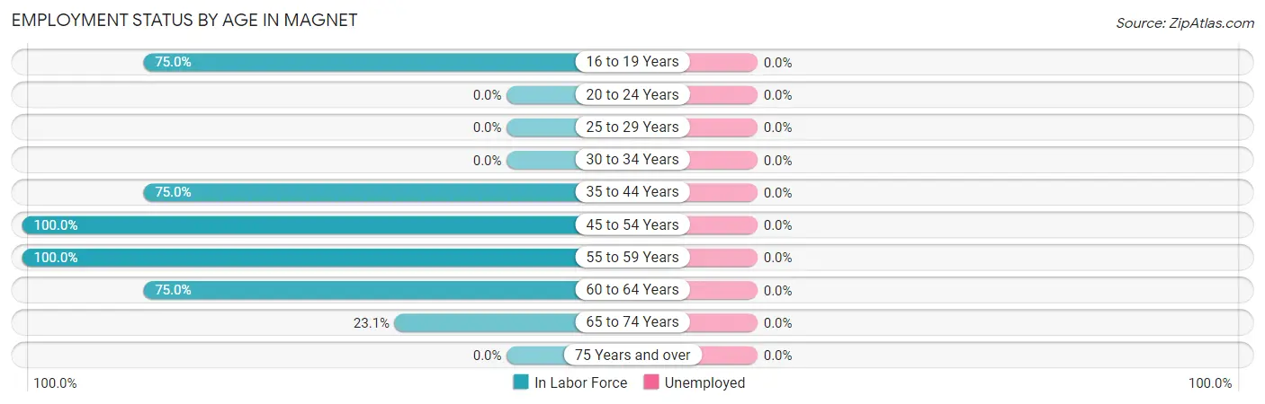 Employment Status by Age in Magnet