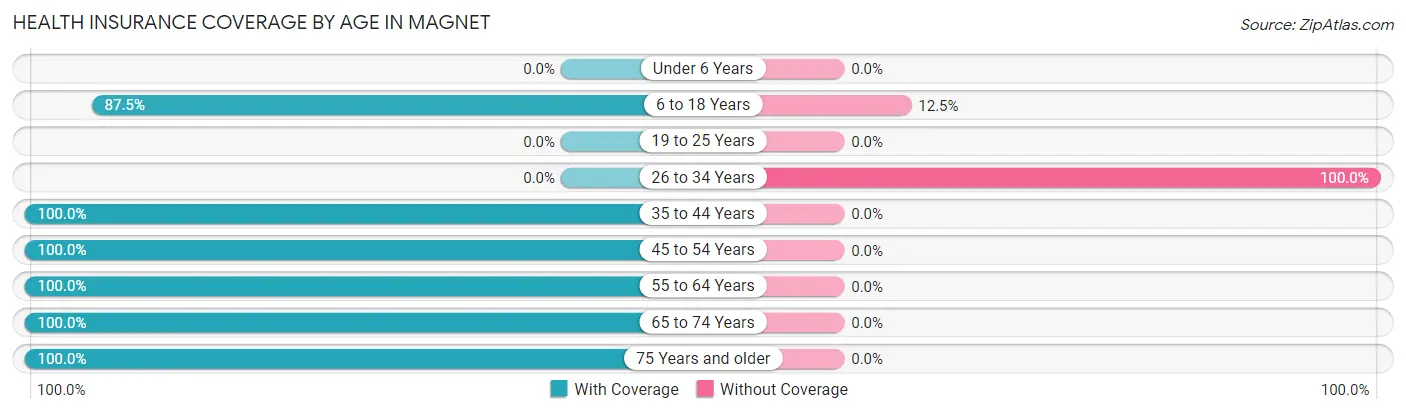 Health Insurance Coverage by Age in Magnet