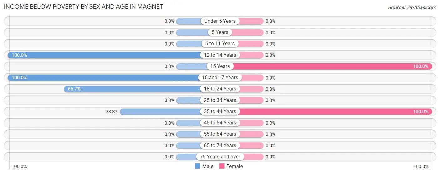 Income Below Poverty by Sex and Age in Magnet
