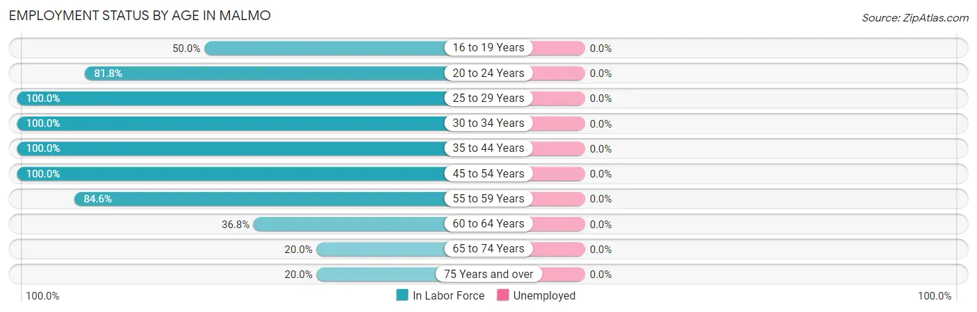 Employment Status by Age in Malmo