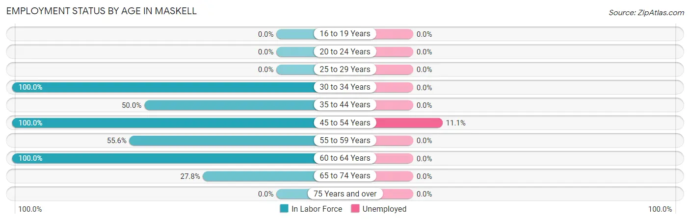 Employment Status by Age in Maskell