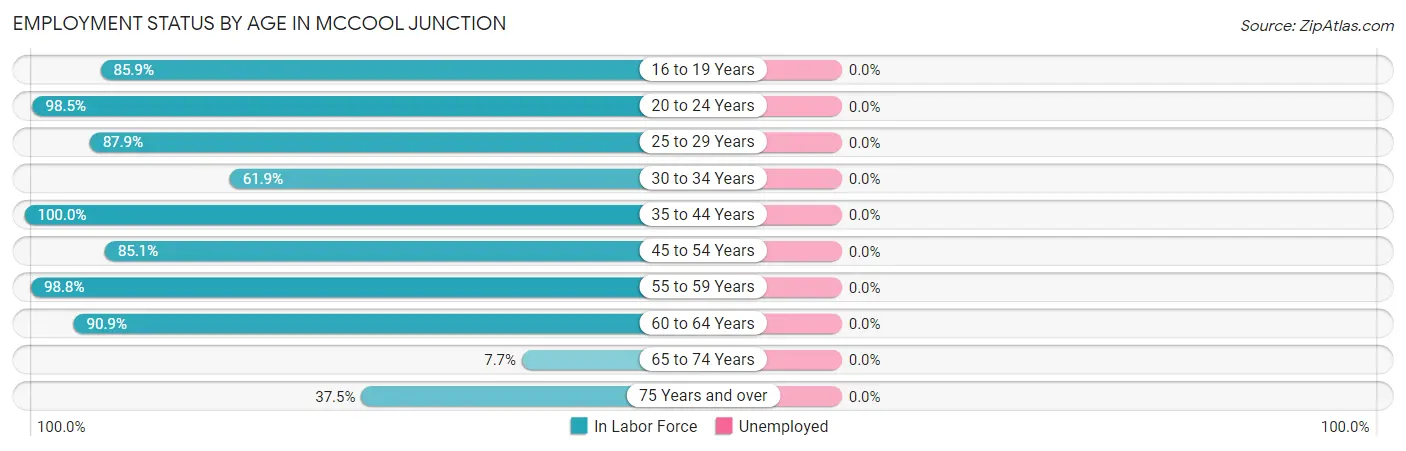 Employment Status by Age in McCool Junction