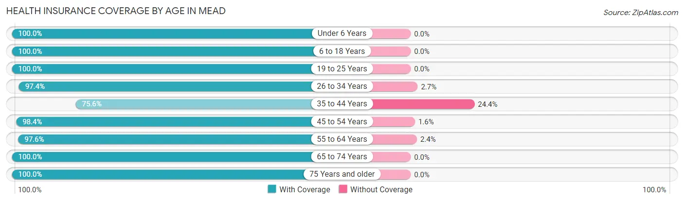 Health Insurance Coverage by Age in Mead