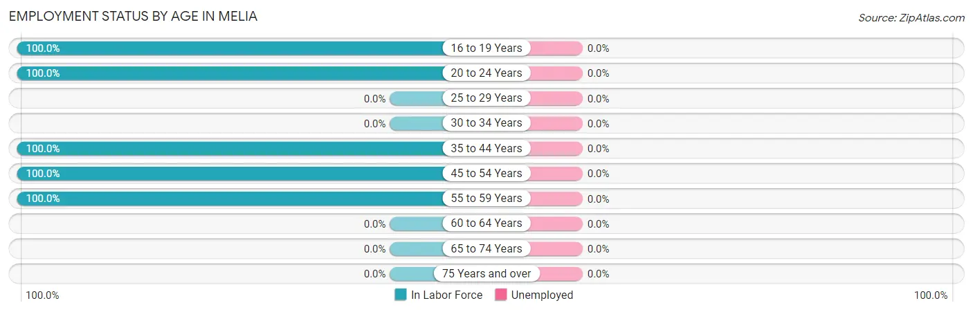 Employment Status by Age in Melia