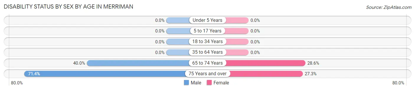 Disability Status by Sex by Age in Merriman