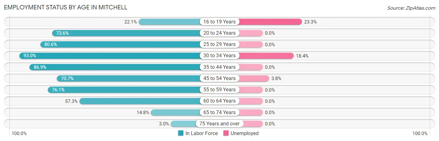 Employment Status by Age in Mitchell