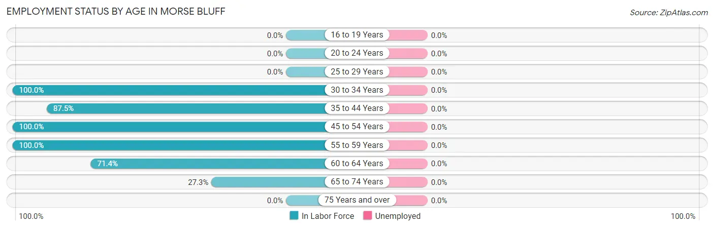 Employment Status by Age in Morse Bluff