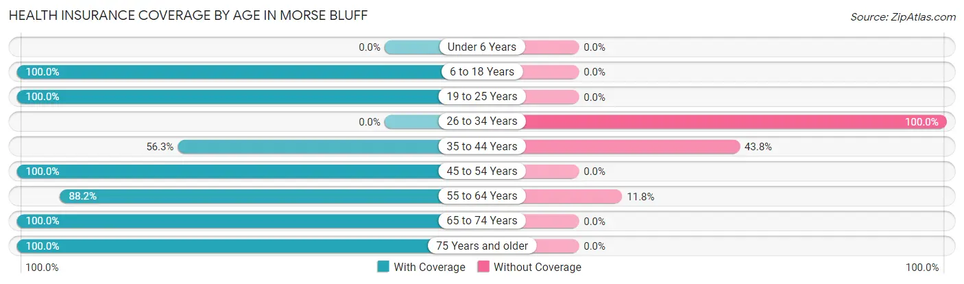 Health Insurance Coverage by Age in Morse Bluff