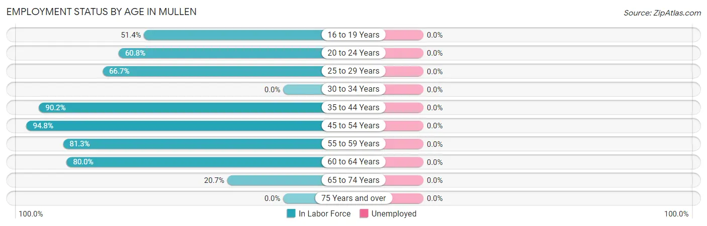 Employment Status by Age in Mullen