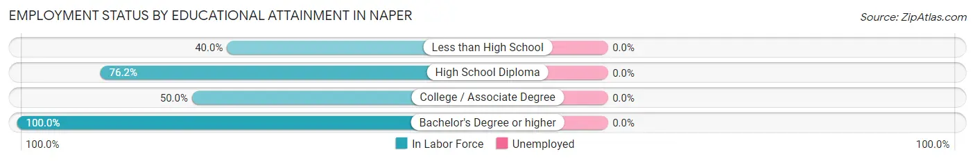 Employment Status by Educational Attainment in Naper