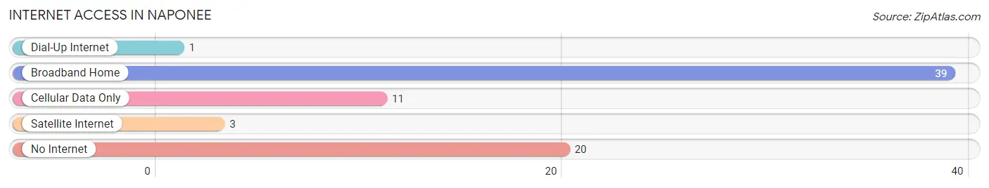 Internet Access in Naponee