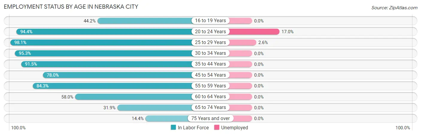 Employment Status by Age in Nebraska City