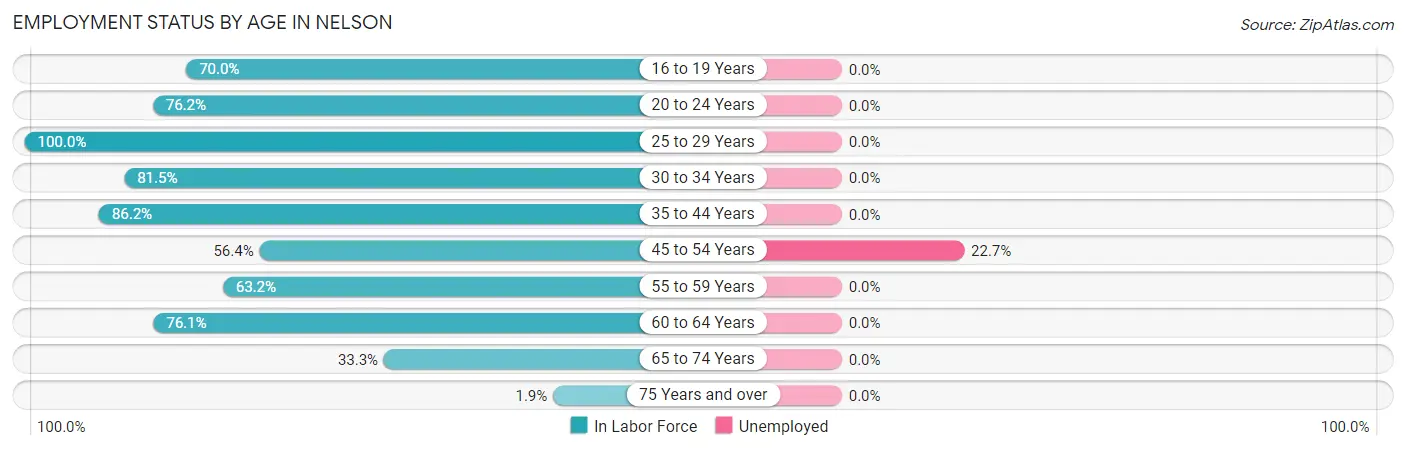 Employment Status by Age in Nelson