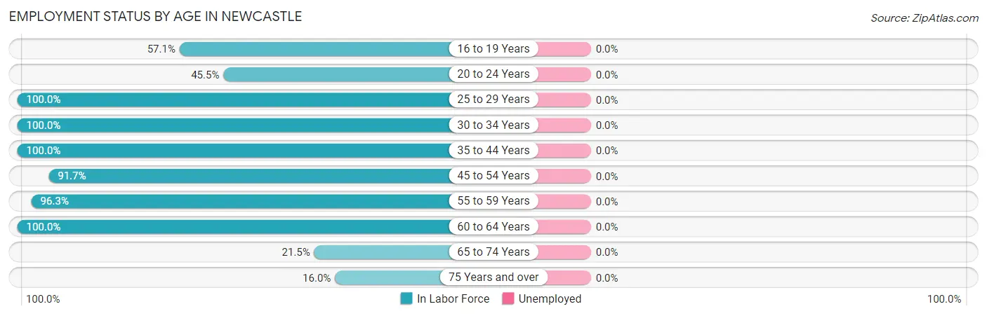 Employment Status by Age in Newcastle