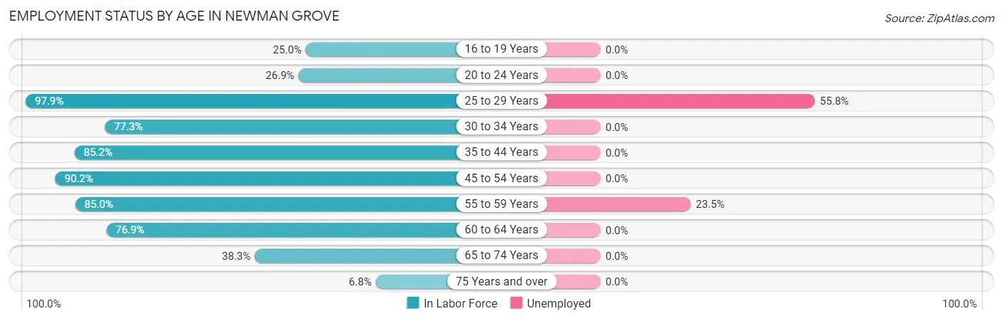 Employment Status by Age in Newman Grove