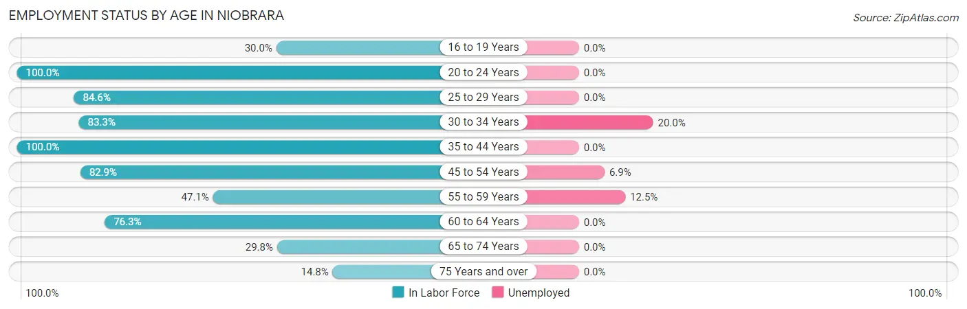 Employment Status by Age in Niobrara