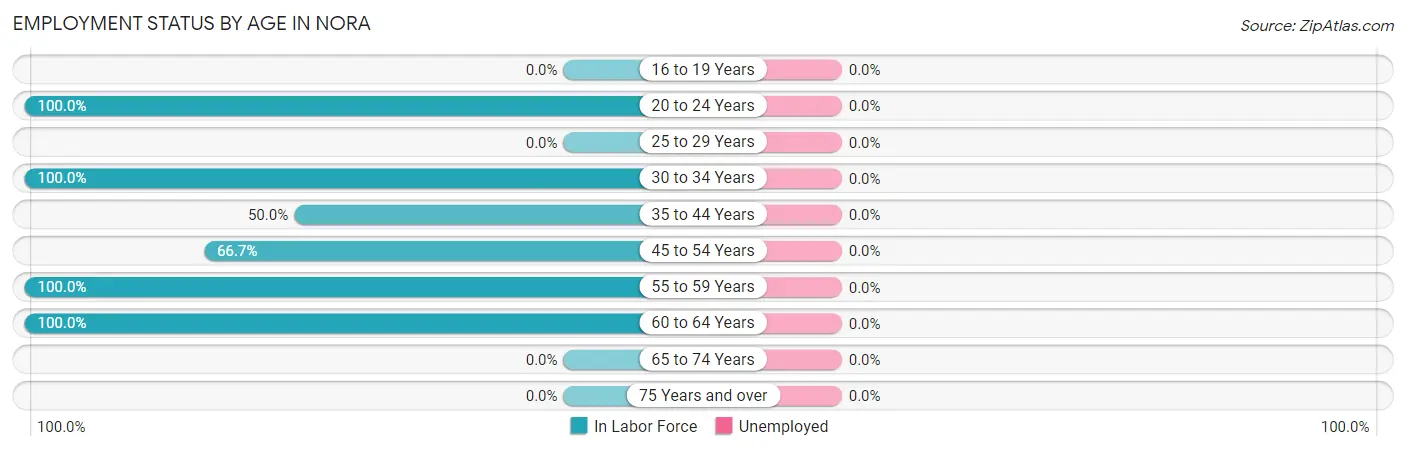 Employment Status by Age in Nora