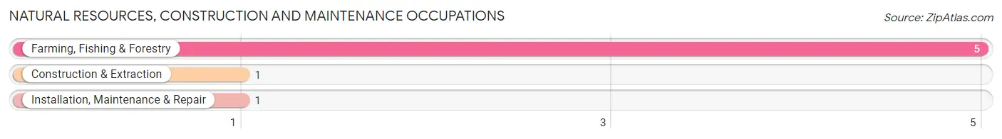 Natural Resources, Construction and Maintenance Occupations in Page