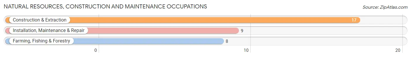 Natural Resources, Construction and Maintenance Occupations in Paxton