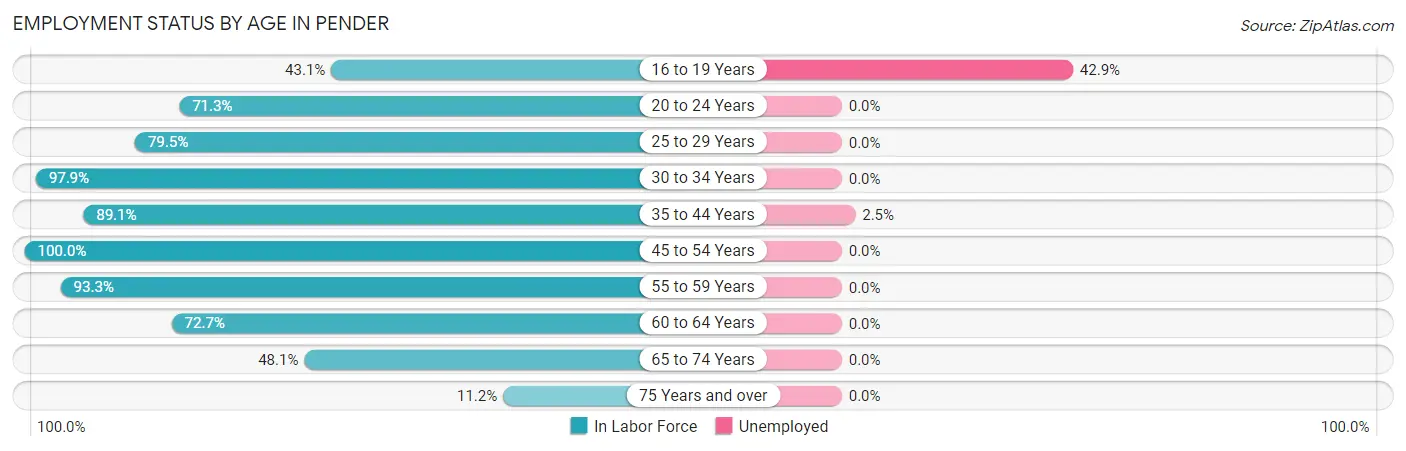 Employment Status by Age in Pender