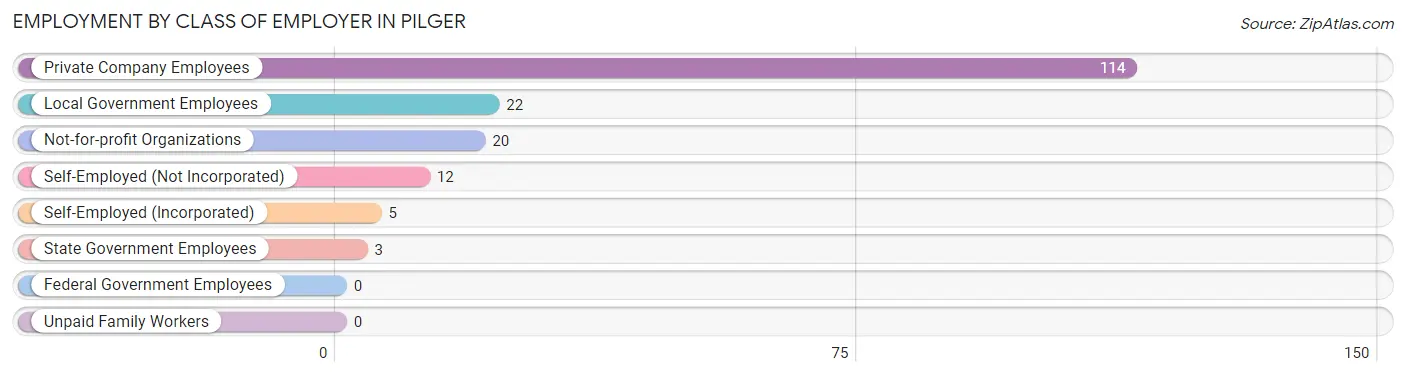 Employment by Class of Employer in Pilger