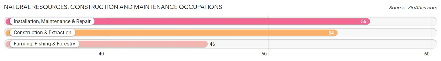 Natural Resources, Construction and Maintenance Occupations in Plainview