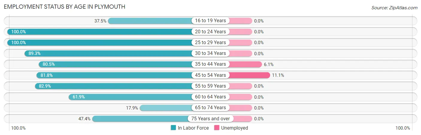 Employment Status by Age in Plymouth