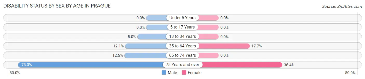 Disability Status by Sex by Age in Prague