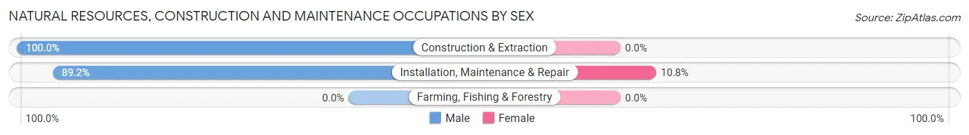 Natural Resources, Construction and Maintenance Occupations by Sex in Prague