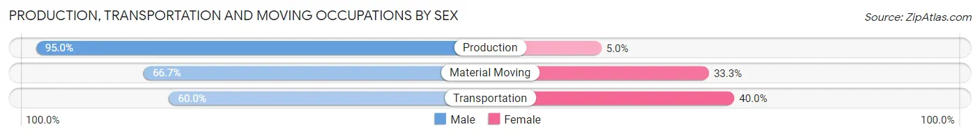 Production, Transportation and Moving Occupations by Sex in Prague