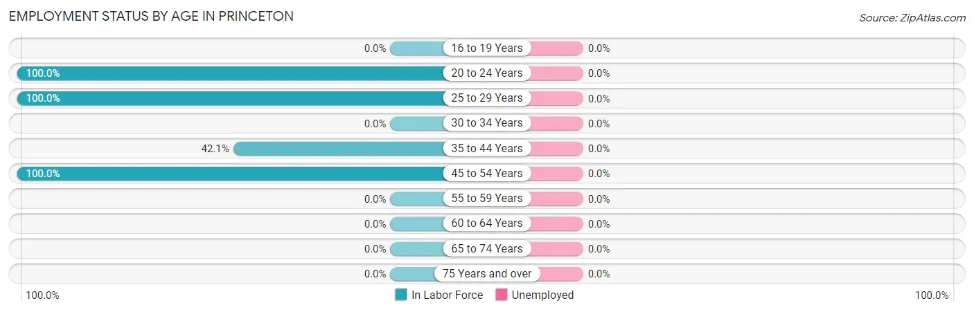 Employment Status by Age in Princeton