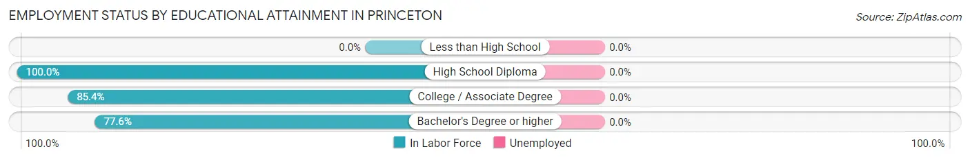 Employment Status by Educational Attainment in Princeton