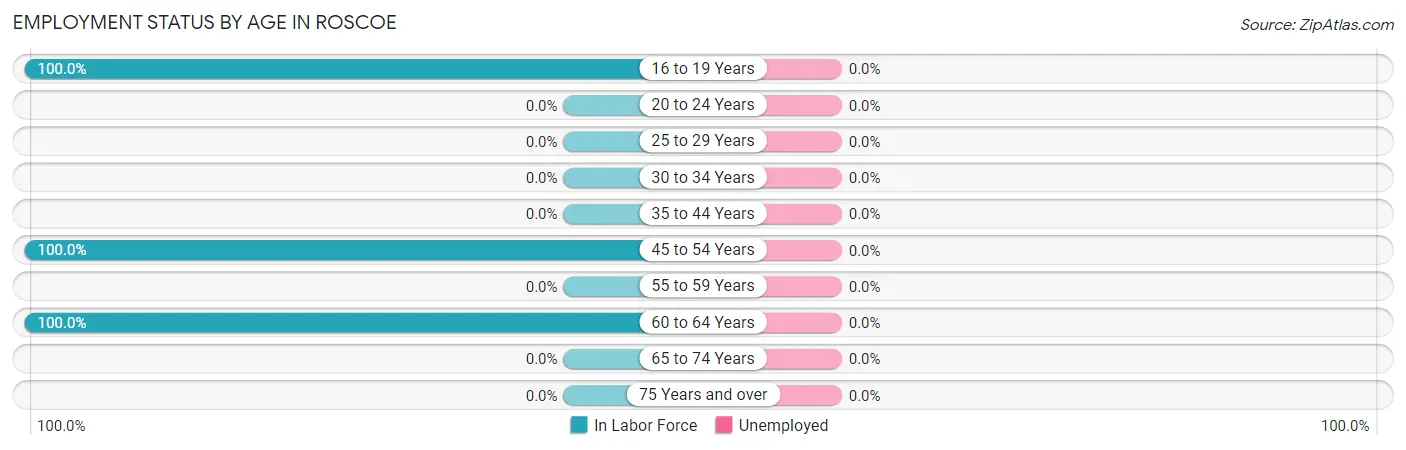 Employment Status by Age in Roscoe