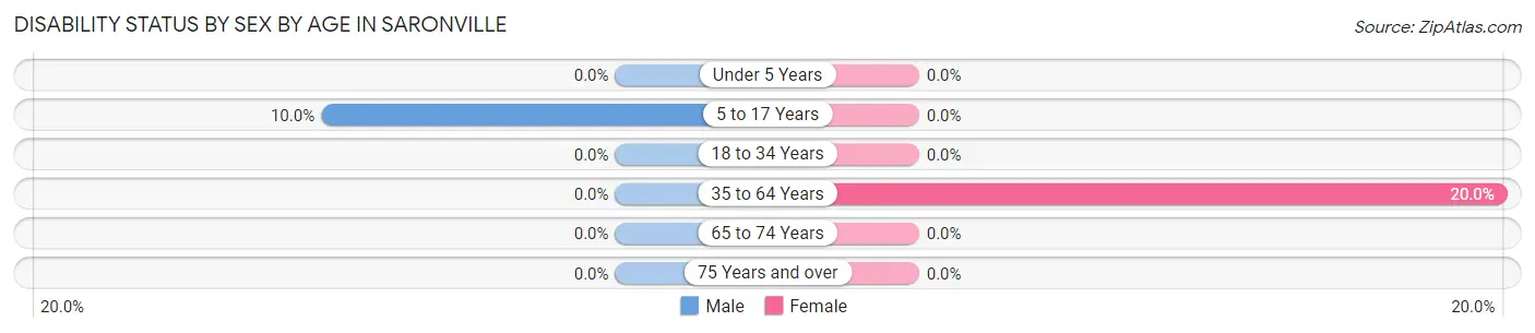 Disability Status by Sex by Age in Saronville
