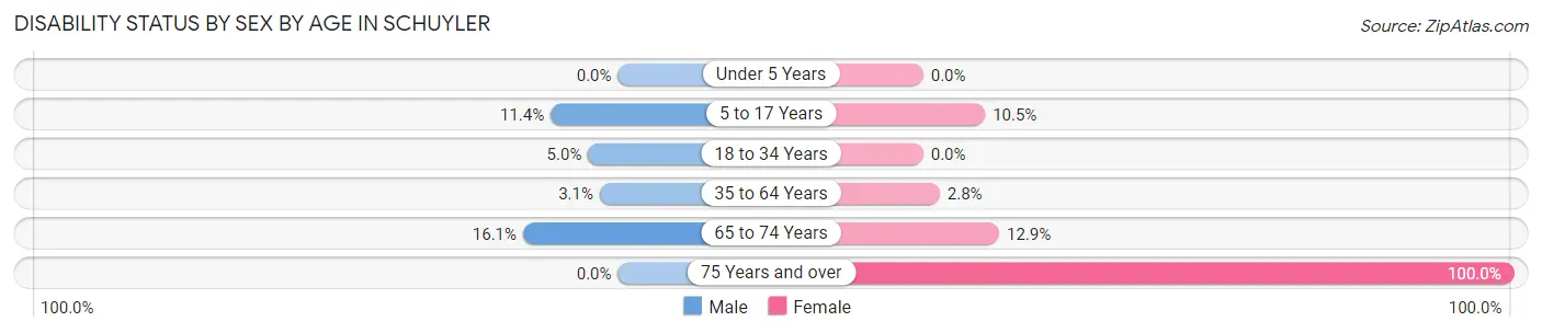 Disability Status by Sex by Age in Schuyler