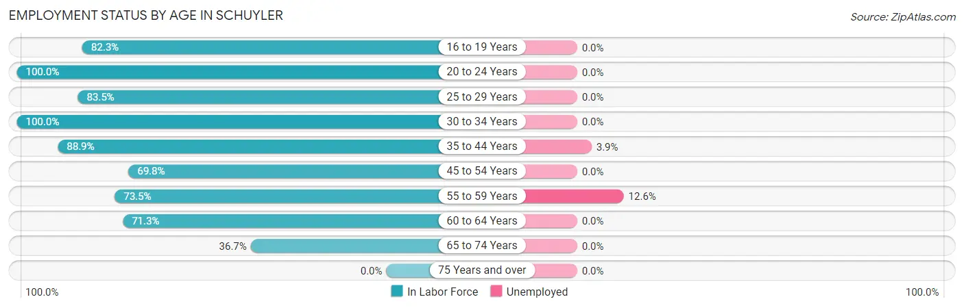 Employment Status by Age in Schuyler